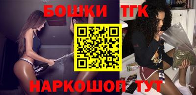 мдпв Камышлов