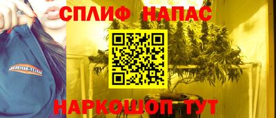 мдпв Камышлов