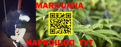 мдпв Камышлов