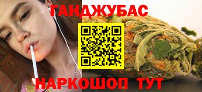мдпв Камышлов