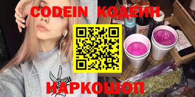 мдпв Камышлов